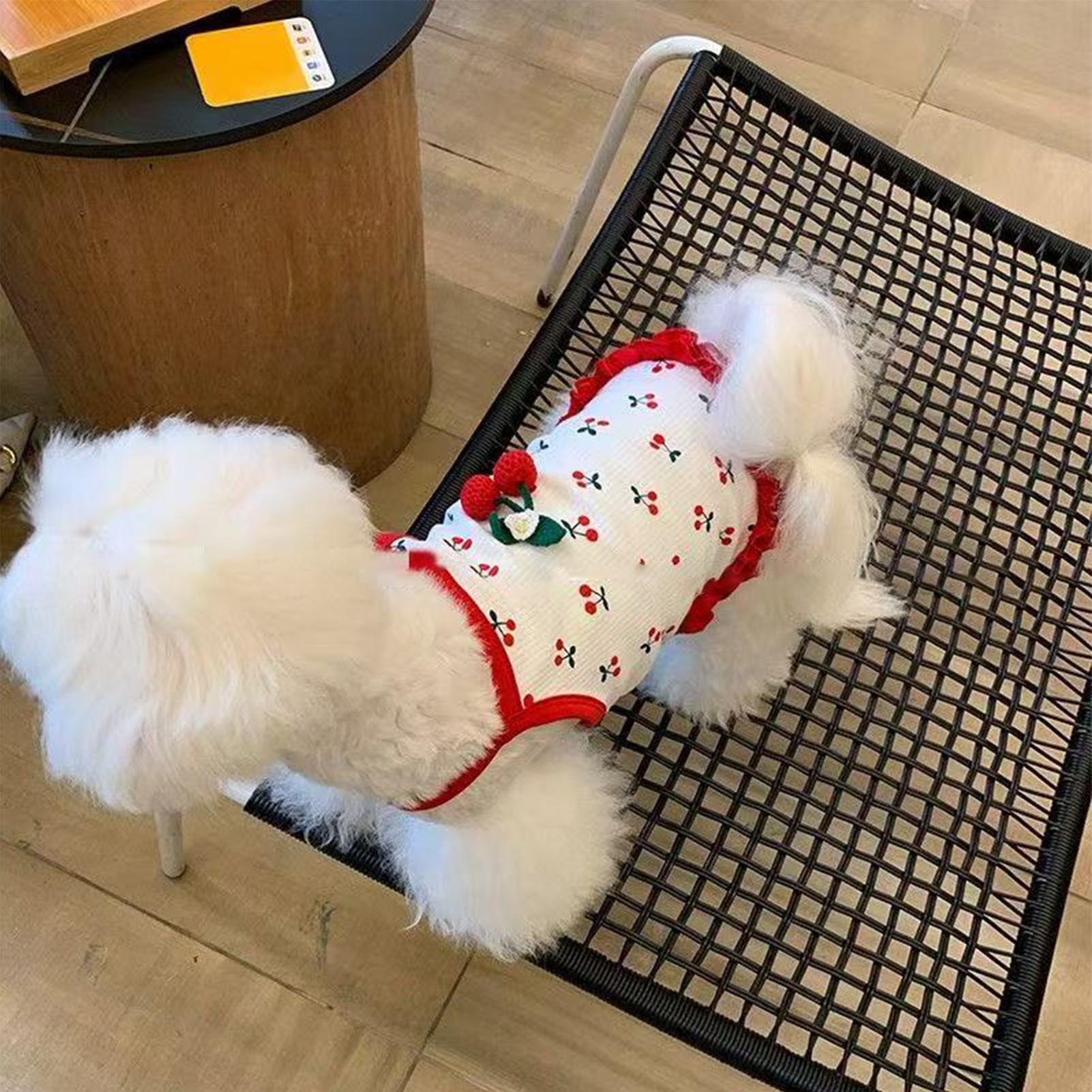 Summer Dog Clothing - Evcil hayvan yeleği kedi kıyafeti sevimli