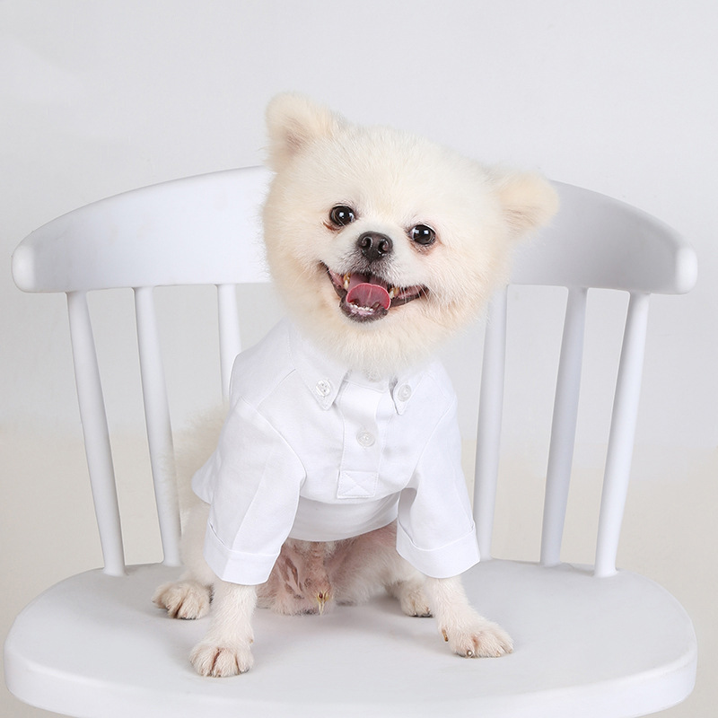 İlkbahar ve sonbahar Pet dip g - Summer Dog Clothing incelemesi ve fiyatı