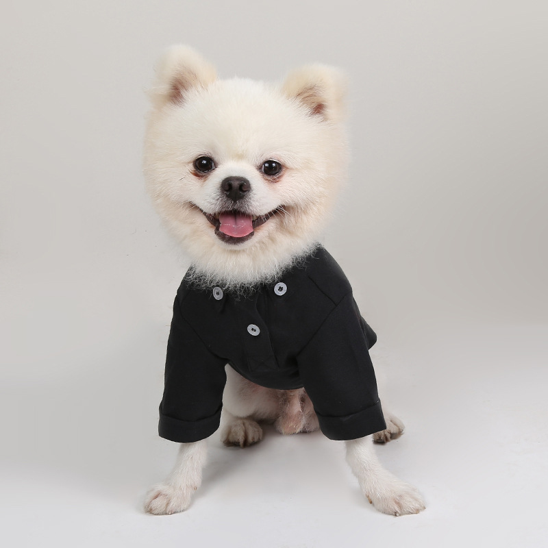 İlkbahar ve sonbahar Pet dip g - Summer Dog Clothing incelemesi ve fiyatı