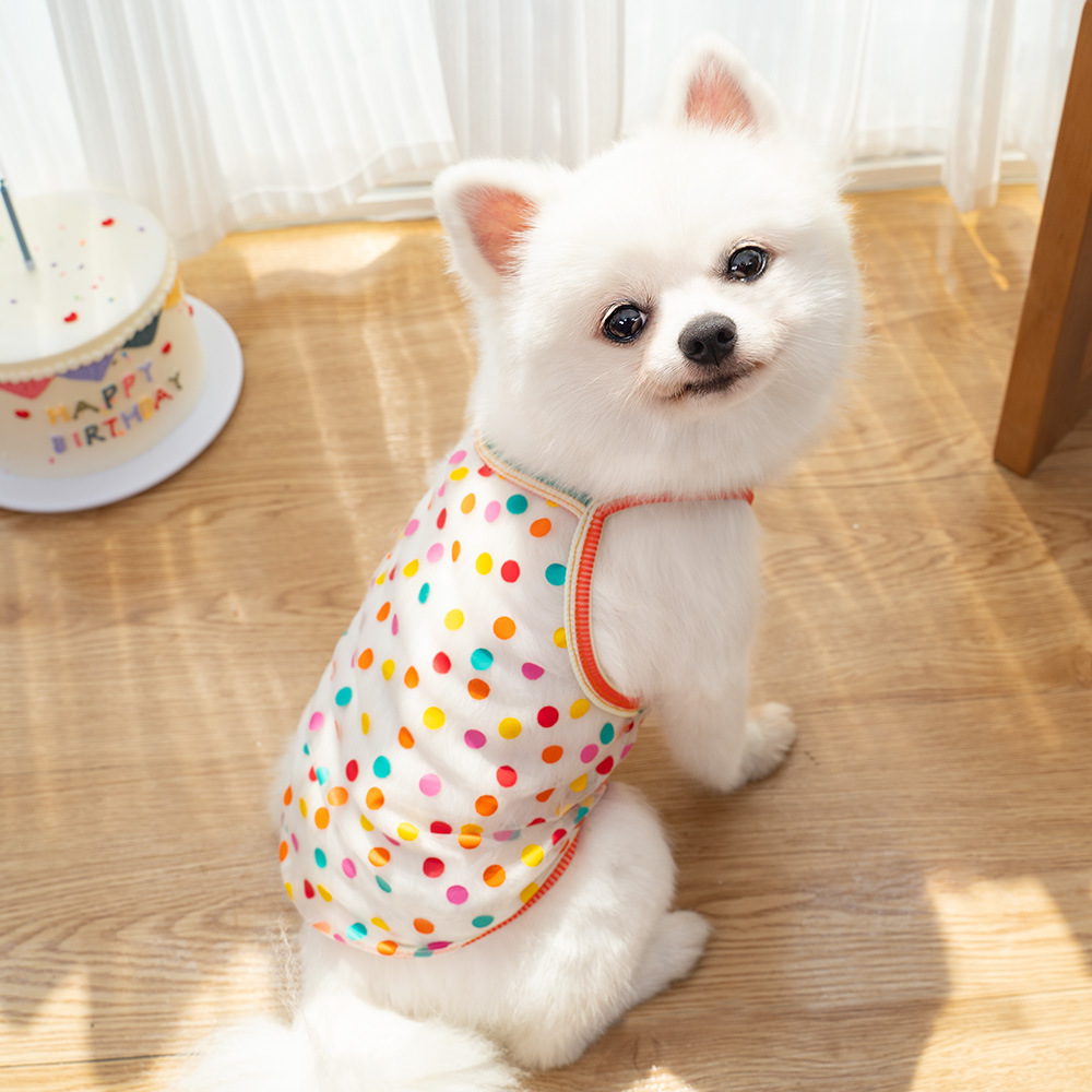 Evcil Hayvan Askılı Güneş Koru - Summer Dog Clothing incelemesi ve fiyatı