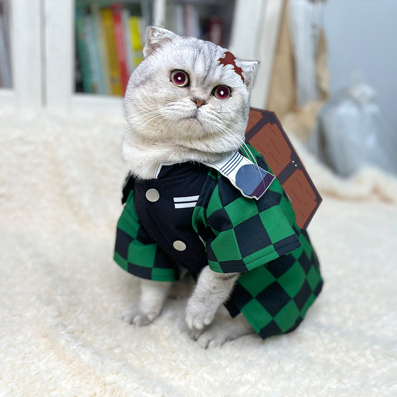 Iblis avcısı Zenitsu evcil hay - Summer Dog Clothing incelemesi ve fiyatı