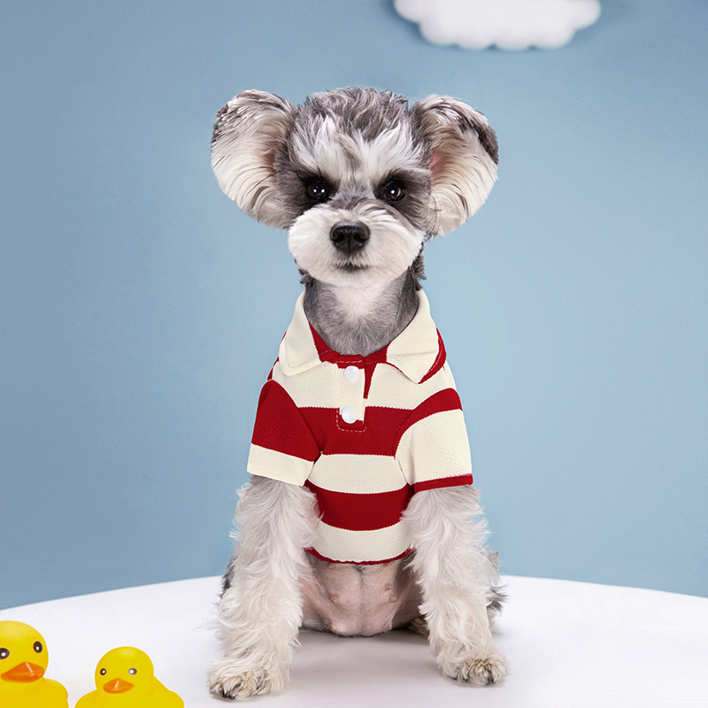 Pet Köpek Polo Gömlek Yaz Köpe - Summer Dog Clothing incelemesi ve fiyatı