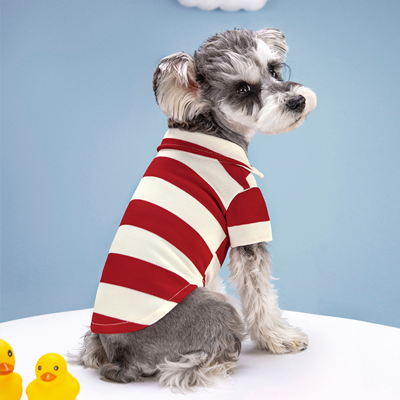 Pet Köpek Polo Gömlek Yaz Köpe - Summer Dog Clothing incelemesi ve fiyatı